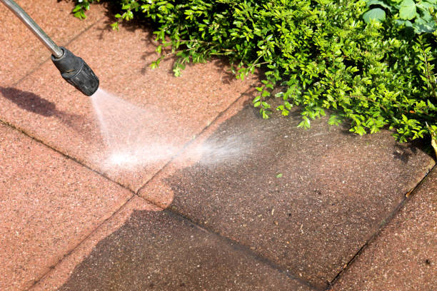 Best Affordable Power Washing  in Jersey Shore, PA